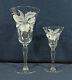 14-pcs Of Cut/acid Etched Crystal Orchid Pattern Stemware (6-wines & 8-waters)