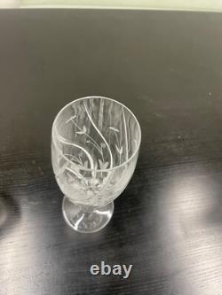 21 Piece Vintage Etched Crystal Wine, Champagne & Water glasses floral