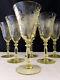 6 Vintage Cambridge Apple Blossom Yellow Water Goblets Wine Glasses EUC