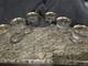 6 Vintage Crystal Gold Rimmed With Roses Tiffin Franciscan Liquor / Wine Glasses
