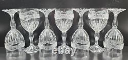 7 Oneida Southern Garden Wine Glasses Set Vintage Floral Frost Cut Stemware Lot