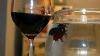 A Fishy Wine Story Or Is It A Winey Fish Story