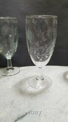 Antique Etched Flower Pattern Pitcher & Stem Wine/water Glasses Set D53