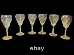 Antique RARE Lancaster Yellow Topaz Lily Pattern Set Of 6 Tulip Wine Glasses