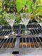 Baccarat Tulip Cut Vintage Crystal Wine Water Glasses, Set of 2 7 1/4 He