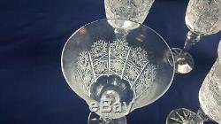 Lot 10 Vintage Bohemian 24% Crystal Wine Glass Queen Lace Hand Cut LN w Label