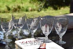 STUNNING! 5 Vintage Crystal Etched Wine Glasses, Tiffin Franciscan, Theda 1960's