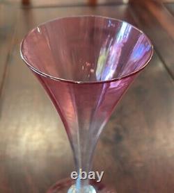 VINTAGE CHAMPAGNE & WINE GLASS Elegant, delicate dark rose & clear 8.75 tall