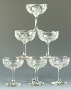 VINTAGE Wine Glass Set of 6 Fine & Delicate Fern Cut Champagne Saucers