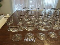 VTG France Platinum Trim WATER, WINE, COCKTAIL Champagne Glasses Clear Set (28)