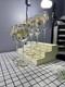 Vintage 24kt Gold Rimmed Hand Painted Set Of 6 Champagne And 2 Wine Glasses