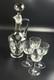 Vintage- 6 Pieces Toscany Etched -Floral Pattern Wine Glasses with Decanter