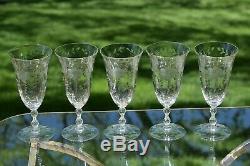 Vintage Etched Wine Cocktail Glasses, Set of 5, Cambridge, Lucia, 1940's