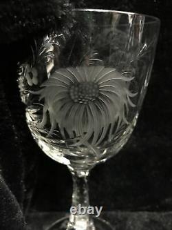 Vintage Hawkes Gravic Cut Glass China Aster Wine Goblet Chrysanthemum? Set 5