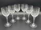 Vintage Nachtmann Bamberg Tall Cut Crystal Wine Glasses Set of 6 8.5 Inches