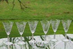 Vintage Needle Etched Wine Glasses, Set of 6, Fostoria, Mayflower, circa 1938