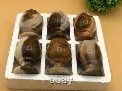 Vintage Onyx Wine Glasses Set 6pcs for Christmas Gift and Home Décor Brand