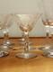 Vintage Romance Fostoria Glasses Set of 14