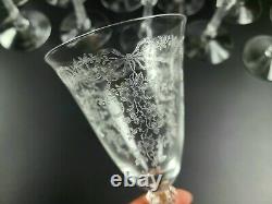 Vintage Romance by Fostoria -Water/ Wine Goblets Set of 12