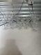 Vintage Set Of 18 Etched Glasses Floral Design Thin Glass Stemware Dif. Sizes
