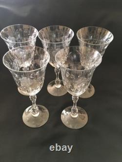 Vtg Cambridge Etched Glass Water / Ice Tea /Wine Drinking Glasses Lucia Set 5 Vtg Cambridge Etched Glass Water / Ice Tea /Wine Drinking Glasses Lucia Set 5