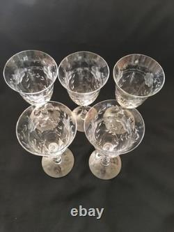 Vtg Cambridge Etched Glass Water / Ice Tea /Wine Drinking Glasses Lucia Set 5 Vtg Cambridge Etched Glass Water / Ice Tea /Wine Drinking Glasses Lucia Set 5