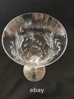 Vtg Cambridge Etched Glass Water / Ice Tea /Wine Drinking Glasses Lucia Set 5 Vtg Cambridge Etched Glass Water / Ice Tea /Wine Drinking Glasses Lucia Set 5