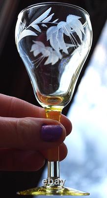 Vtg SET 14 Lancaster Yellow Topaz CUT FLORAL Wine Glasses ART DECO 1920s 4 5/8