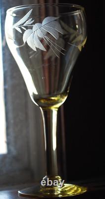 Vtg SET 14 Lancaster Yellow Topaz CUT FLORAL Wine Glasses ART DECO 1920s 4 5/8