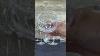 Waterford Crystal Wine Glasses Vintageglassware Cutglass Vintage